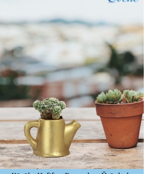 Mini Çiçek Saksı Küçük Sukulent Altın Kaktüs Saksısı 3lü Set Mini Çaydanlık Model